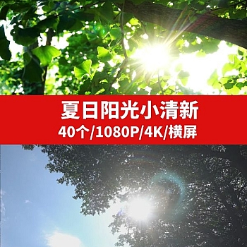 夏日阳光小清新视频素材