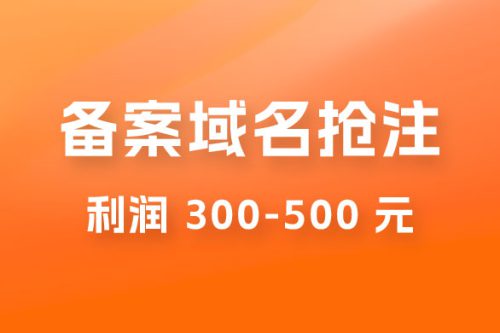 备案域名抢注 成本只需几十 但卖的话能翻10倍以上